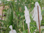 Junioren-Cup 2026 