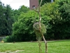 moyl07061