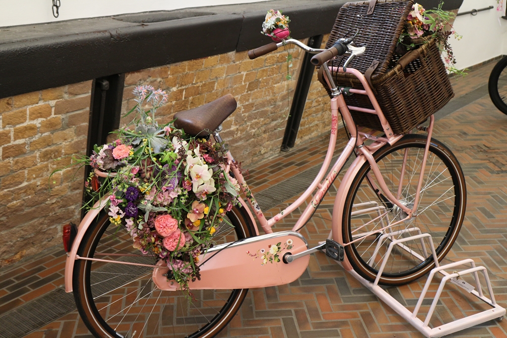 Bestes Fahrrad Hommers Punktgleich (2)