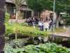 IMG-20250922-WA0003