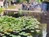 IMG-20250922-WA0004