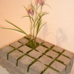 1. Platz Deko-Topfpflanze